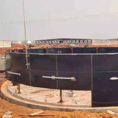 山东某工业污水处理搪瓷拼装罐 宸一环境