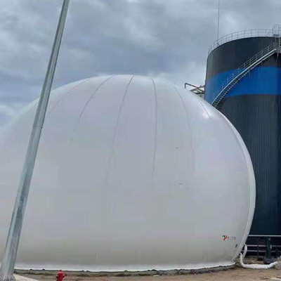 山东某化工废水处理双膜气柜（沼气储气柜） 宸一环境