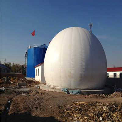 宸一环境沼气双膜气柜